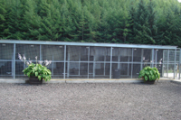 outside the boarding kennels in lanarkshire