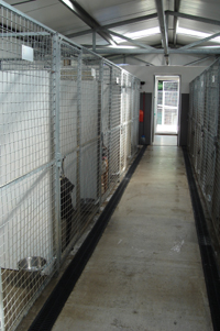 inside the boarding kennels lanarkshire